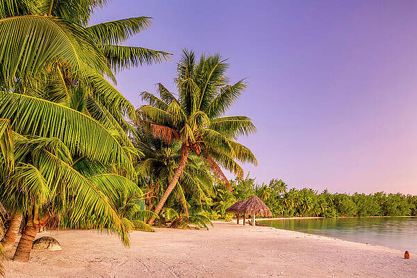Paradise Wall Art featuring the digital art Cook Islands, Aitutaki, South Seas #7 by Reinhard Schmid