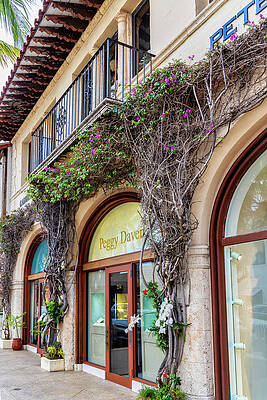 Architecture Digital Art - Florida, Palm Beach, Worth Avenue #7 by Laura Diez