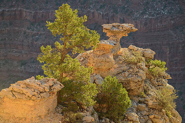 Wall Art featuring the digital art Grand Canyon Np, South Rim, Arizona #7 by Heeb Photos