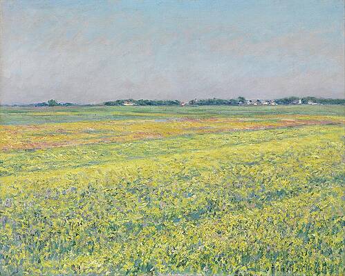 Yellow Wall Art featuring the painting The Plain Of Gennevilliers, Yellow Fields by Gustave Caillebotte