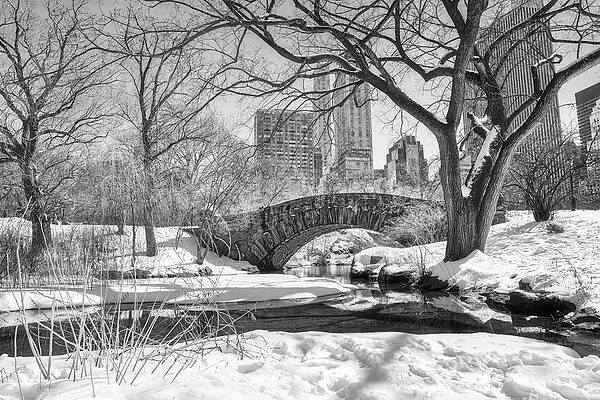 Winter in Central Park with Gapstow Bridge Digital Art