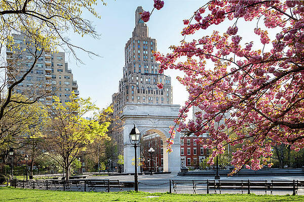 Washington Square Park in Spring Wall Art