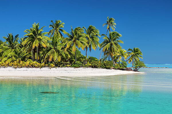 Paradise Wall Art featuring the digital art Cook Islands, Aitutaki, South Seas #8 by Reinhard Schmid