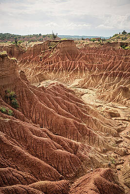 Surreal Landscape At Tatacoa Desert Desierto De La Tatacoa, Township Villavieja Nearby Neiva, Departmento Huila, Colombia, Southamerica #8 Print