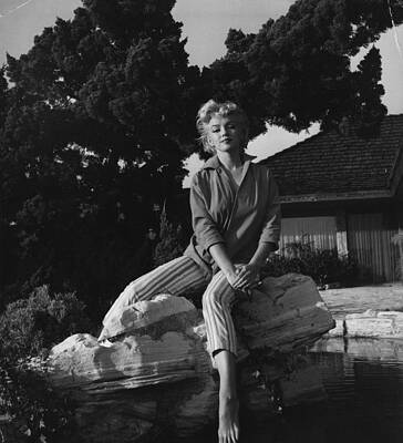 Marilyn Monroe Relaxing Outdoors Wall Art