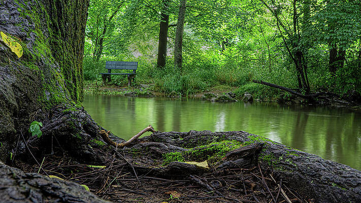Reflection Wall Art featuring the photograph A Creek, A Tree And A Bench by Jason Fink