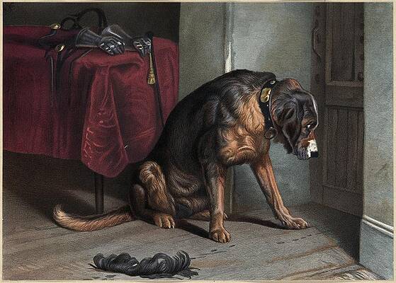 Dog Painting - A Friend In Suspense by Louis Prang