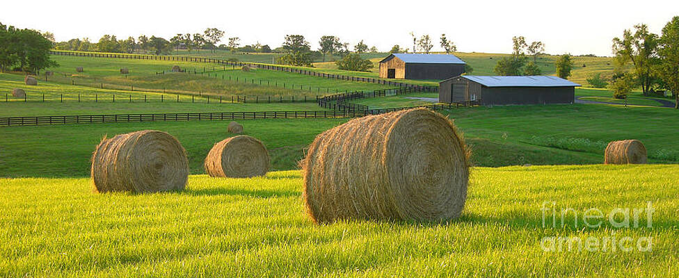 Kentucky Wall Art featuring the photograph Dusk In The Bluegrass by Randall Dill