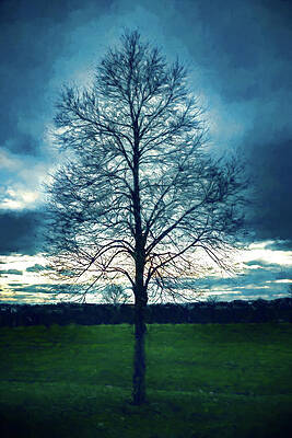 Nature Wall Art featuring the digital art A Lone Tree In Winter by Jason Fink