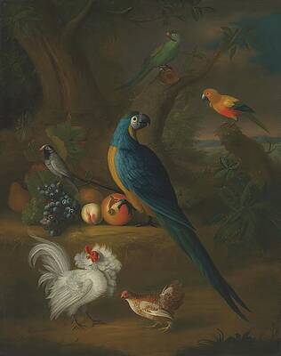 Chicken Painting - A Macaw And Other Birds In A Landscape by Leonard Hubner