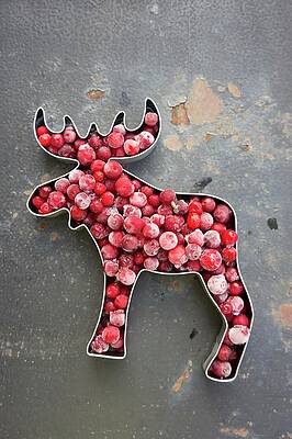 A Moose-shaped Cookie Cutter Filled With Frozen Lingonberries Print