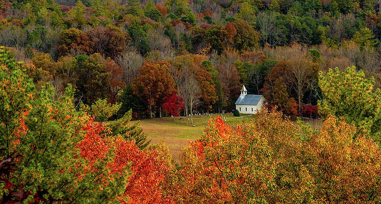 Wall Art featuring the photograph A Rich View by Marcy Wielfaert