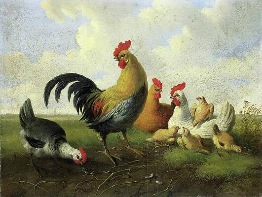 Flock Painting - A Rooster With Hens And Chicks by Albertus Verhoesen