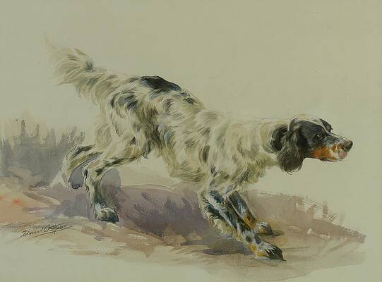Dog Painting - A Setter At Work by Edmund Henry Osthaus