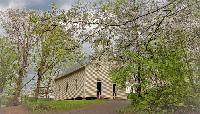 Tennessee Photograph - A Soft, Misty, Dogwood Kind Of Morning by Marcy Wielfaert