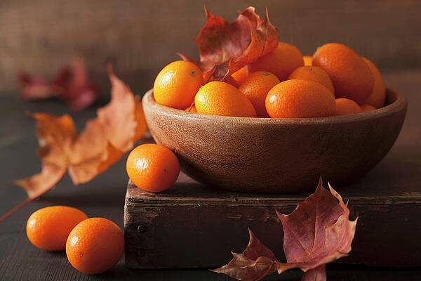 A Still Life Featuring Kumquats And Autumn Leaves Print