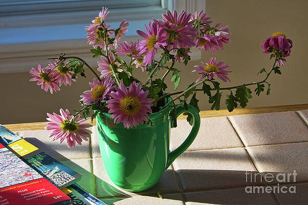 Fall Wall Art featuring the photograph A Traveler Still Life With Autumn Flowers by Tatiana Travelways