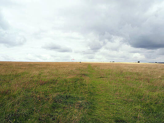 Wall Art featuring the photograph A Walk On Selsley Common, Stroud UK by Joe Schofield