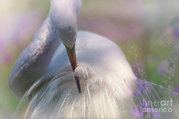 Wall Art featuring the photograph A Zen Moment Fine Art Photography By Mary Lou Chmura by Mary Lou Chmura