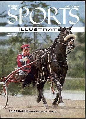 Harry and Driver in Action Wall Art