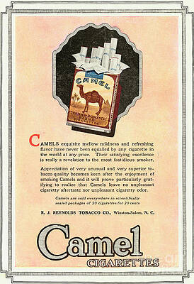 camel cigarettes font Camel Cigarettes Photos for Sale