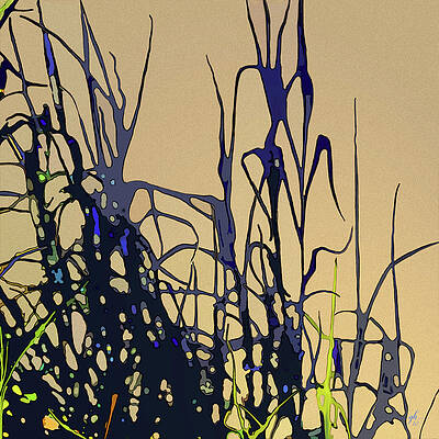 Digital Art - Afternoon Shadows by Gina Harrison