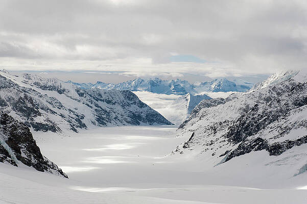 Aletsch Glacier, Jungfraujoch, A Unesco World Heritage Site Swiss Alps Jungfrau-aletsch, Canton Bern, Bernese Oberland, Switzerland Print
