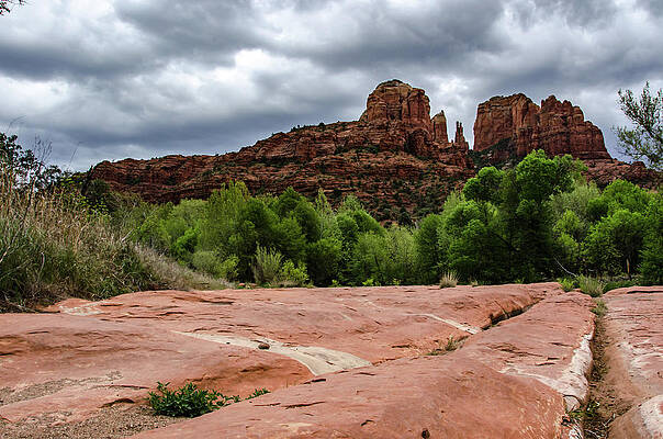 Arizona Photograph - All Lines Lead To Cathedral Rock by Douglas Wielfaert