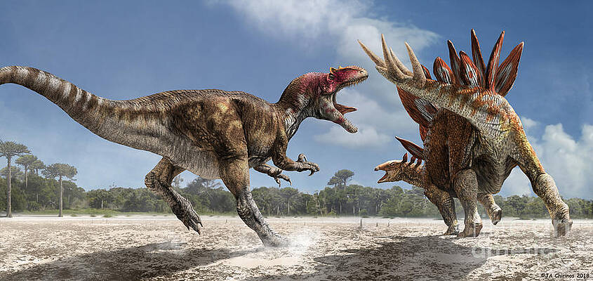 Allosaurus Wall Art for Sale by Science Photo Library