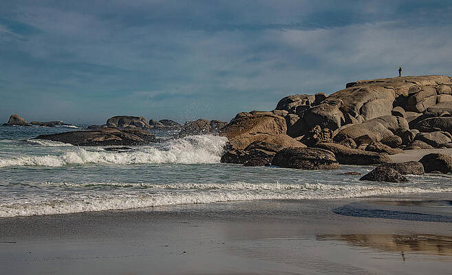 Spring Photograph - Alone At The Top by Marcy Wielfaert