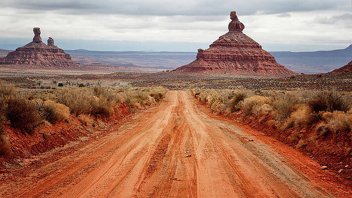 Desert Photograph - Along The Valley Floor by Nicholas Blackwell