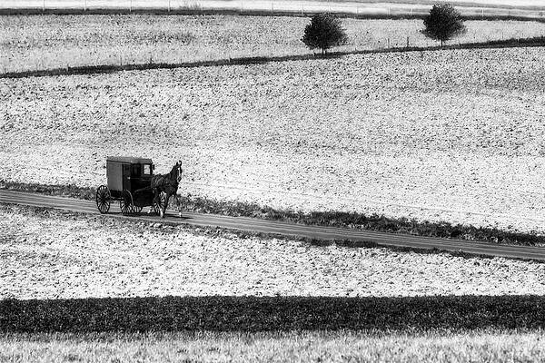 Pennsylvania Photograph - Amish Country Lancaster Pennsylvania BW by Susan Candelario