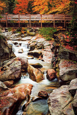 Wall Art featuring the photograph Ammonoosuc River, Autumn by Jeff Sinon