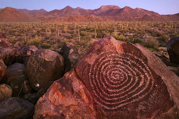 Wall Art featuring the digital art Ancient Petroglyph, Saguaro Np by Heeb Photos