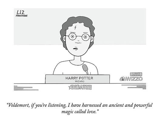 Wizard Wall Art featuring the drawing And, Sir, Love Will Win by Liz Montague