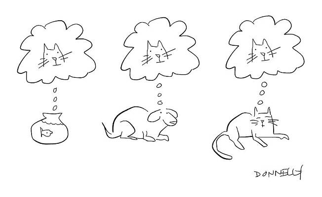 Animals Share Cat Thoughts Wall Art