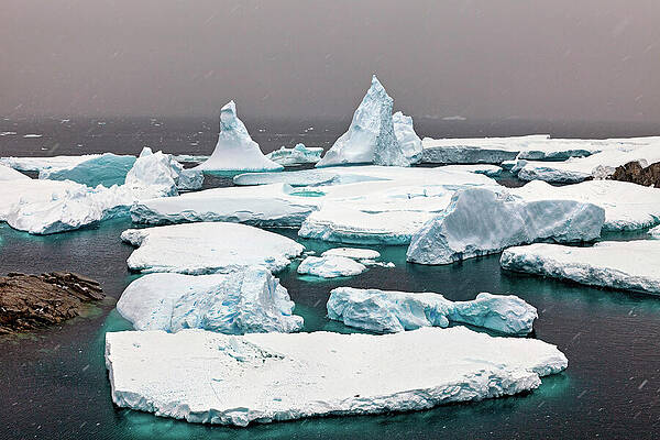 Paradise Wall Art featuring the digital art Antarctic Peninsula, Icebergs In by Roland Brack
