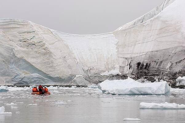 Paradise Wall Art featuring the digital art Antarctic Peninsula, Paradise Bay by Jacana Stock