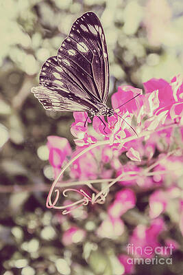 Natural Wall Art featuring the photograph Antique Spring by Jorgo Photography