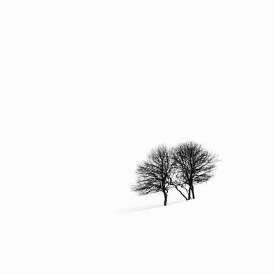 Wall Art featuring the photograph Apple Trees In A Snowy Landscape by Jeremy Woodhouse