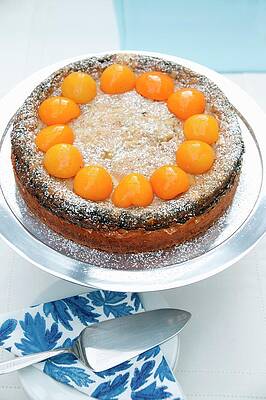 Apricot And Poppy Seed Cake Print
