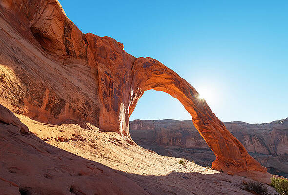 Yellow Wall Art featuring the digital art Arches National Park, Utah by Jordan Banks