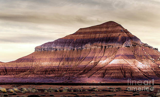 Arizona Wall Art featuring the photograph Arizona Dune Mountain by Blake Webster