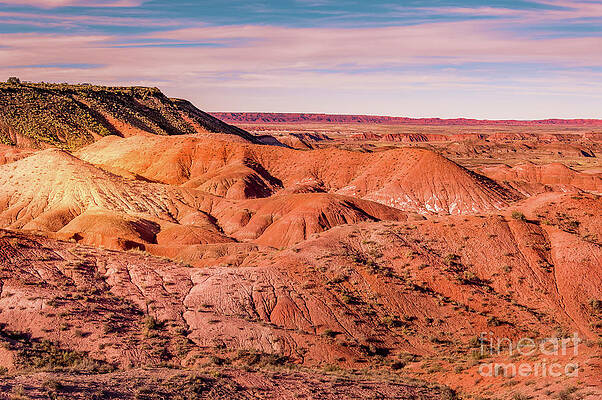 Arizona Wall Art featuring the photograph Arizona Painted Desert #1 by Blake Webster