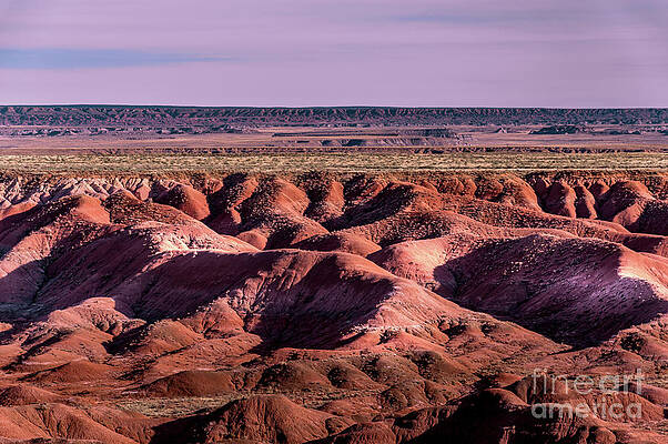 Arizona Wall Art featuring the photograph Arizona Painted Desert #2 by Blake Webster