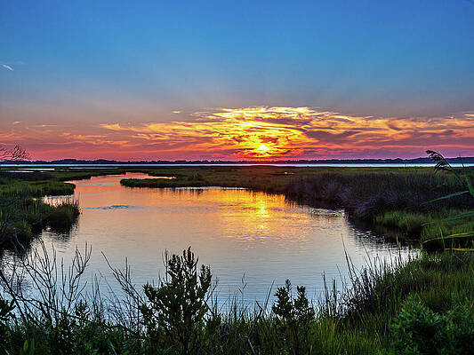 Sky Wall Art featuring the photograph Assateague Island Sunset by Louis Dallara