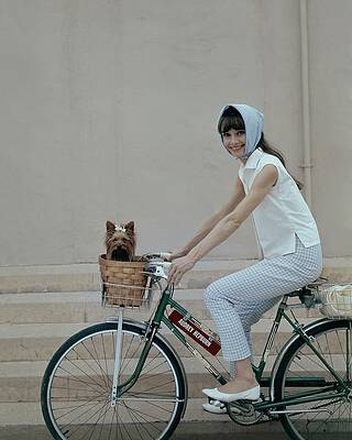 Wall Art featuring the photograph Audrey Hepburn Riding A Bicycle by Cecil Beaton
