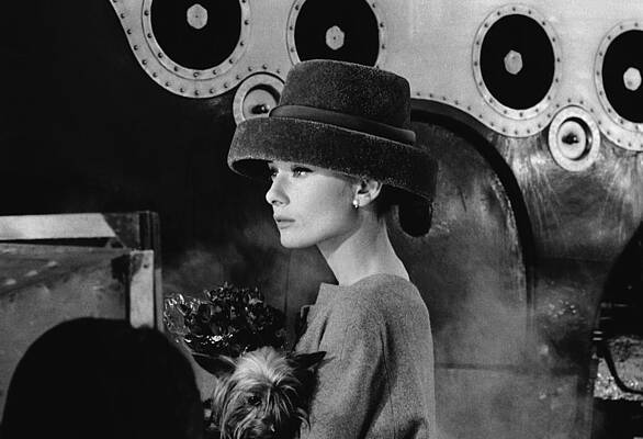 Elegant Woman with Small Dog Wall Art