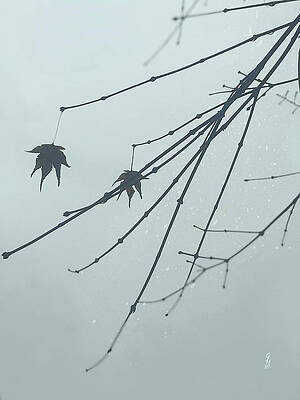 Tree Digital Art - Auld Lang Syne by Gina Harrison