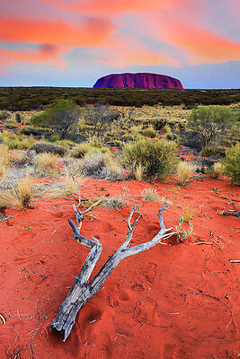 Ayers Rock at Sunset Wall Art